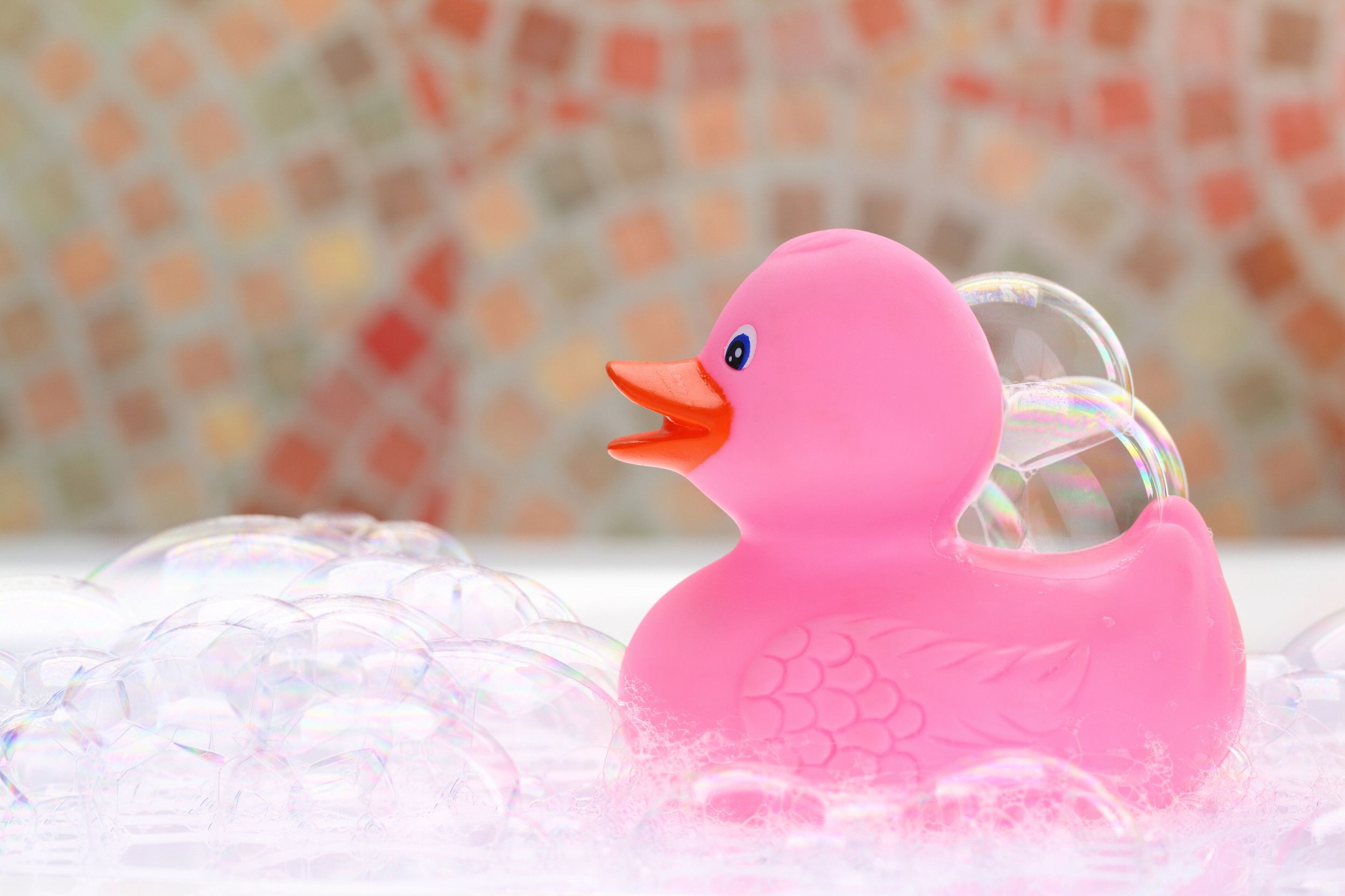 The Importance of Regular Drain Maintenance