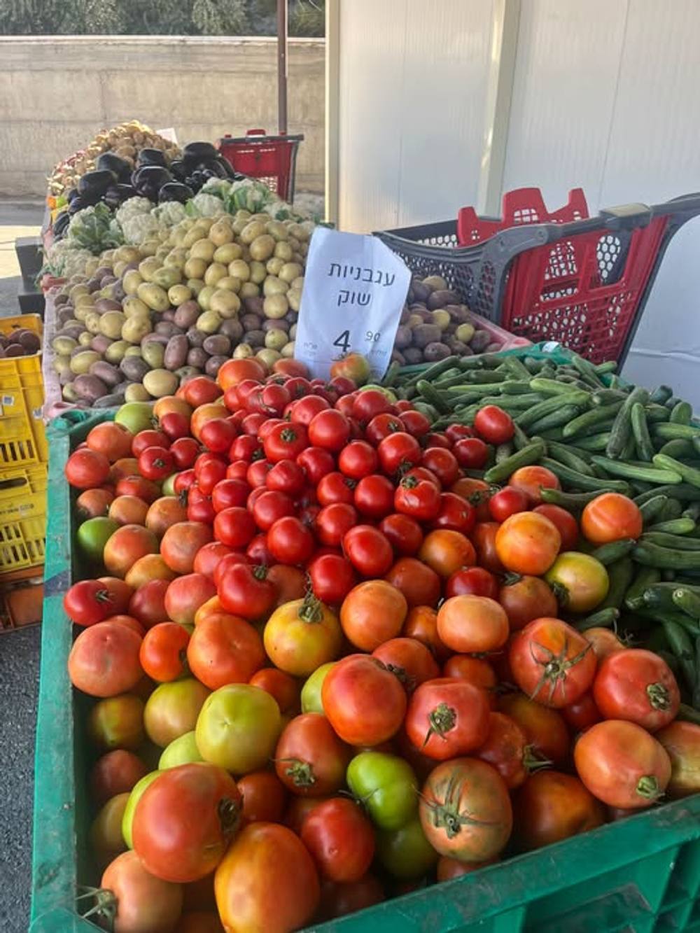 השף המשפחתי בישל את כל מלאי העגבניות שקניתי לחופשה, אז סחבק נכנס לרכב, וחיפש לחד