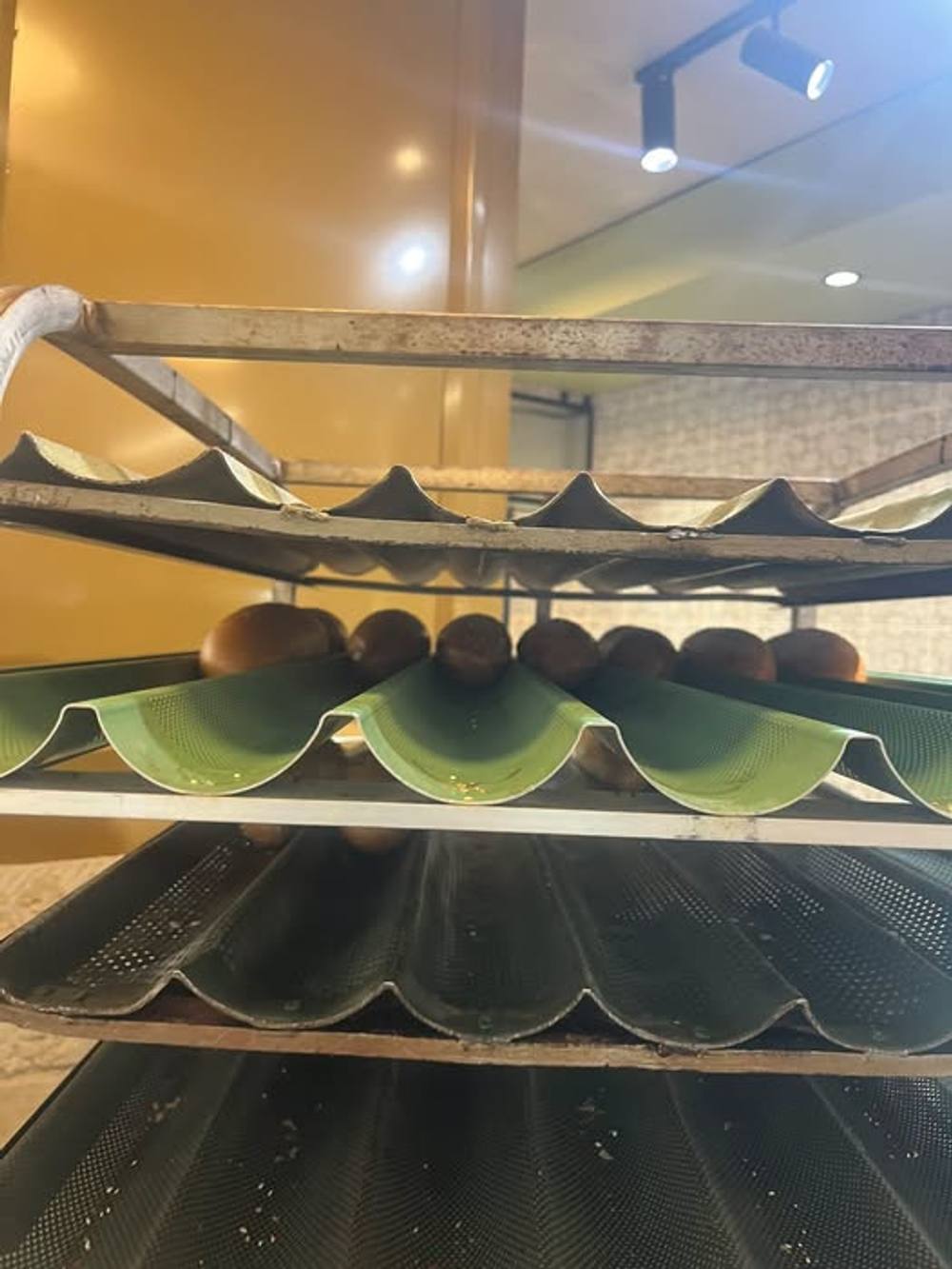 השבוע בחופש, הגעתי כל בוקר מוקדם למאפייה, וקניתי 10 לחמניות טריות בכל ביקור

אני