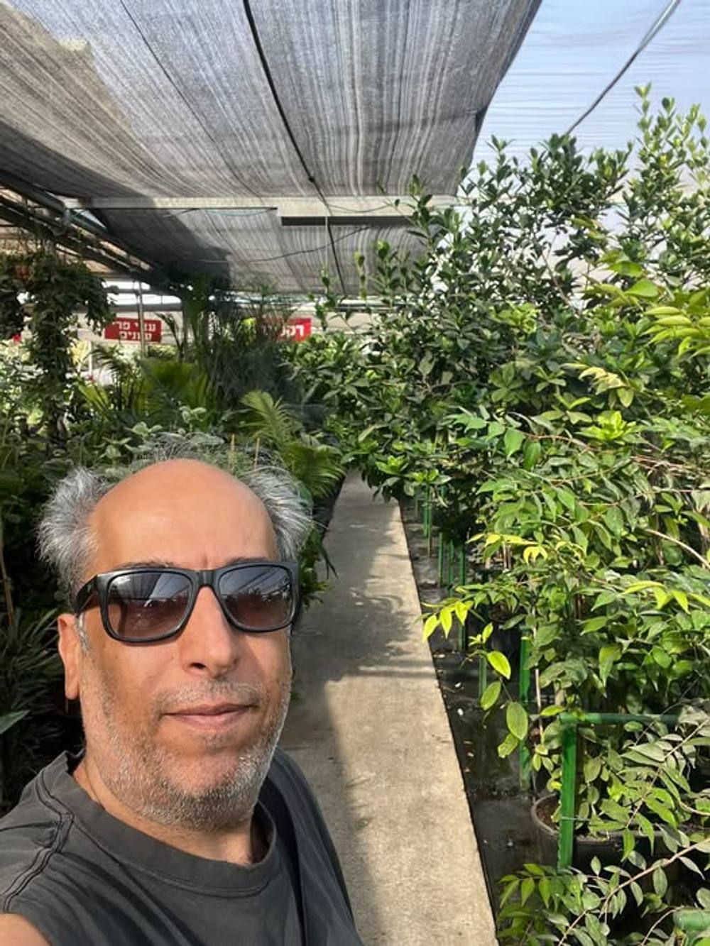 אתמול בבוקר ממש רציתי לקפוץ למשתלה הקבועה שלי, אבל אשתי עשתה פרצוף חמוץ ונתקעתי 