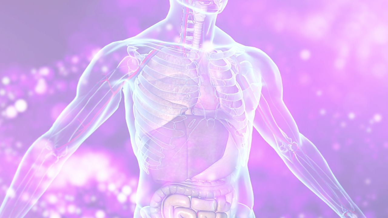 Detoxifying the Body