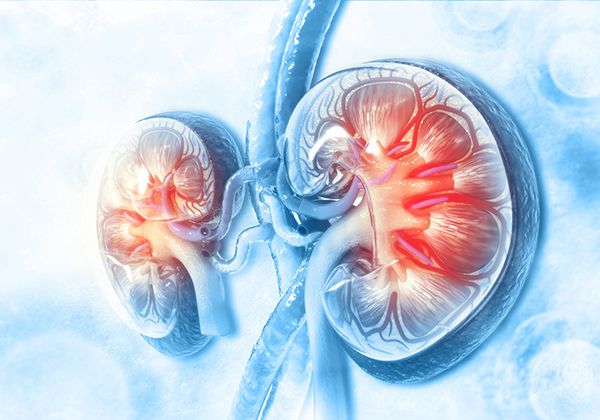 Chronic Kidney Disease (CKD) Care