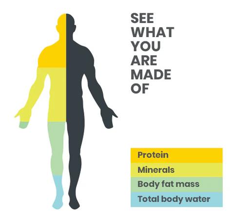 What is Body Scan?