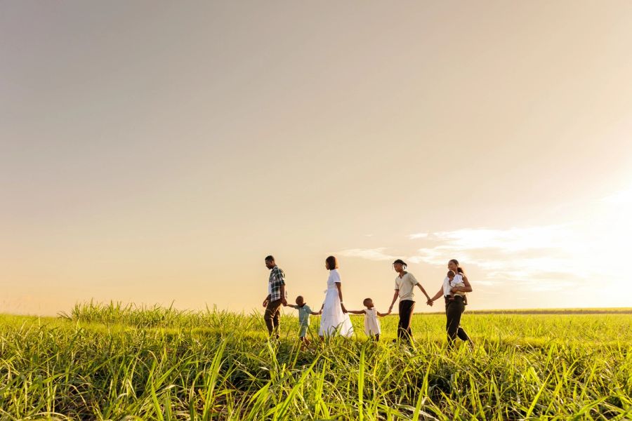 Family of seven silhouetted against the sunset, walking hand in hand through a grassy field.