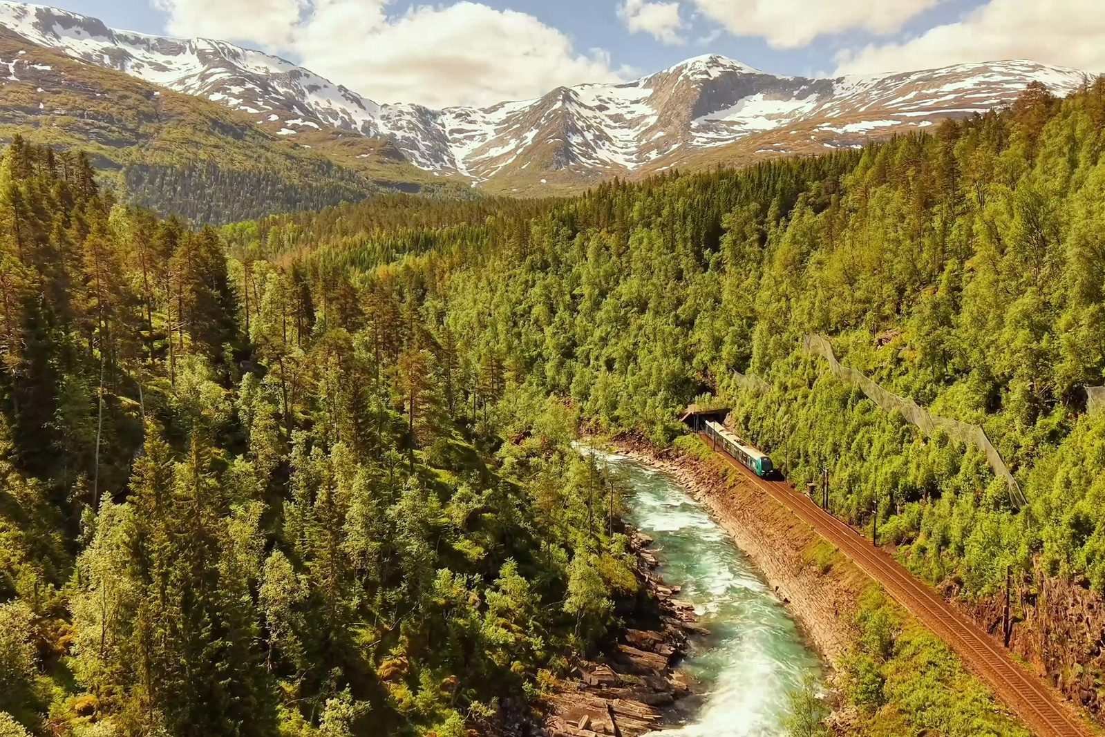 A train going through the mountains of Norway in early summer