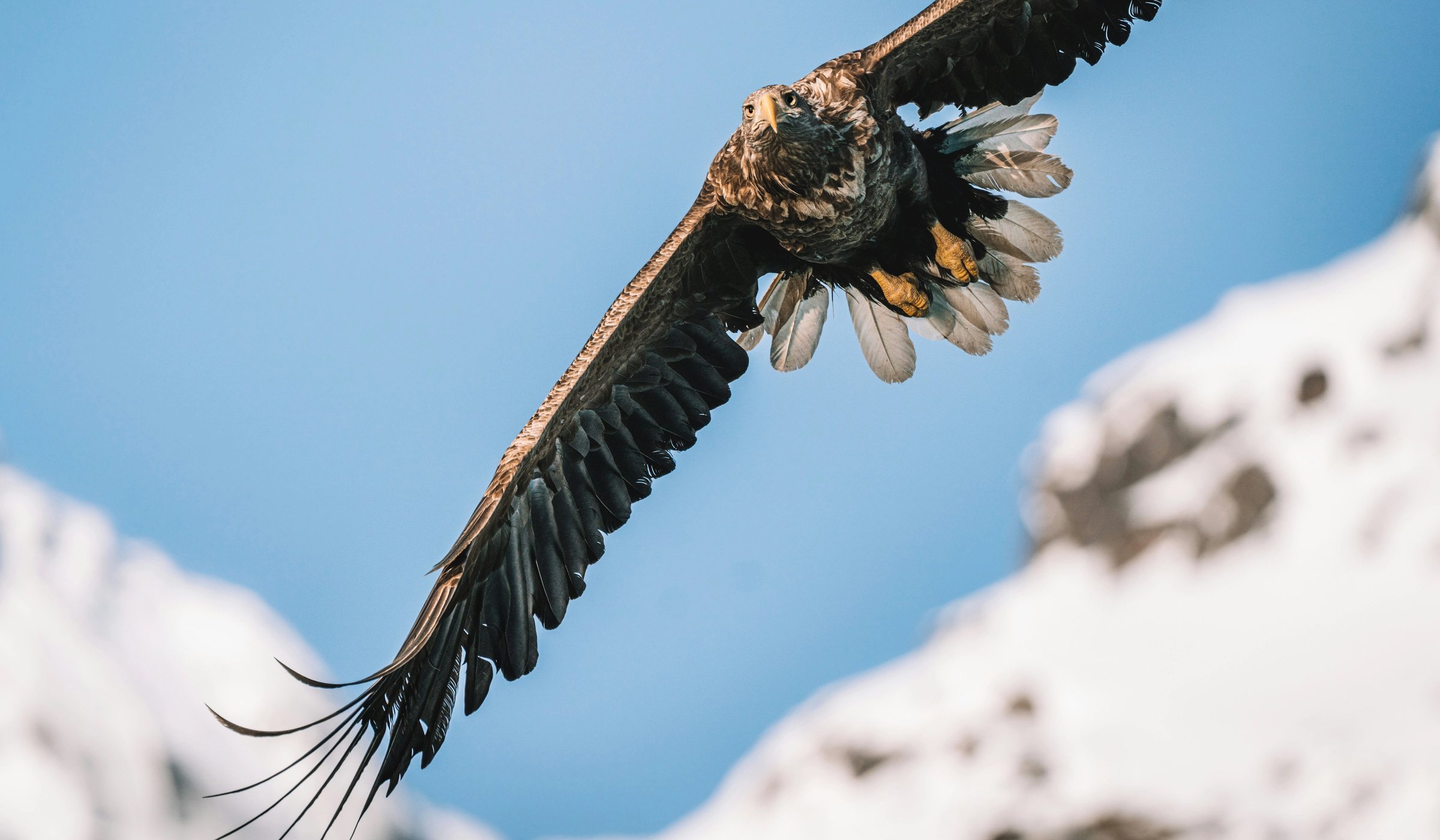 federico-di-dio-photography-uA9-I2btr3g-unsplash