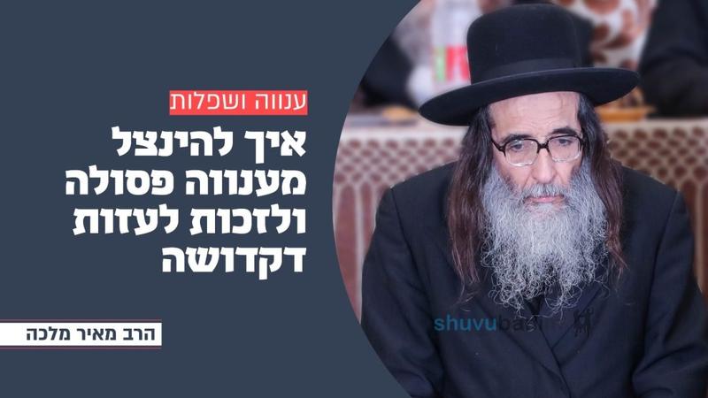"לבלתי תהיה יראתו על פניכם" • השיעור השבועי מהרה"ח רבי מאיר מלכה שליט"א
