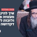 "לבלתי תהיה יראתו על פניכם" • השיעור השבועי מהרה"ח רבי מאיר מלכה שליט"א