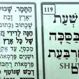 תפילה של הגה"צ הרב אליעזר ברלנד שליט"א בשעת הישיבה בסוכה ונטילת ארבעת המינים