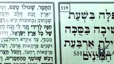 תפילה של הגה"צ הרב אליעזר ברלנד שליט"א בשעת הישיבה בסוכה ונטילת ארבעת המינים