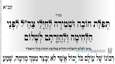 הפיצו לחיילים לשמירה ולהגנה • תפילה חדשה מהגה"צ רבי אליעזר ברלנד שליט"א לשמירה ולהצלחת החיילים בחזית