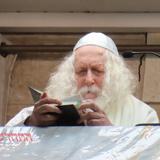 "רק נשמות של אדם קדמון יכולות להתקרב לצדיק" • שיעור במלווה מלכה פרשת נֹח מהגה"צ רבי אליעזר ברלנד שליט"א