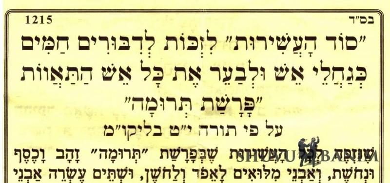 "סוד העשירות" לזכות לדבורים חמים כגחלי אש