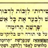 "סוד העשירות" לזכות לדבורים חמים כגחלי אש - תפילה לפרשת תרומה מהגה"צ הרב אליעזר ברלנד שליט"א