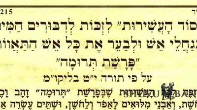 "סוד העשירות" לזכות לדבורים חמים כגחלי אש - תפילה לפרשת תרומה מהגה"צ הרב אליעזר ברלנד שליט"א