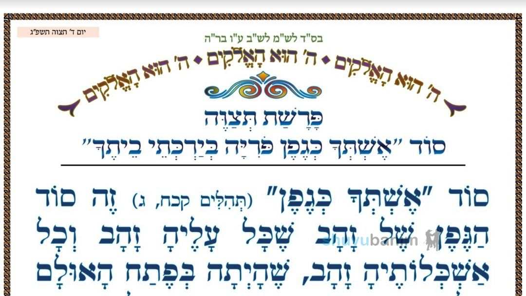 סוד "אשתך כגפן פוריה בירכתי ביתך" ‏•‏ המאמר היומי מהגה"צ רבי אליעזר ברלנד שליט"א