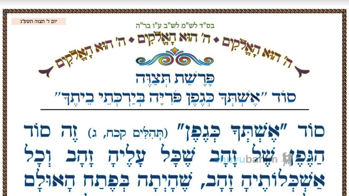 סוד "אשתך כגפן פוריה בירכתי ביתך" ‏•‏ המאמר היומי מהגה"צ רבי אליעזר ברלנד שליט"א