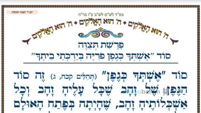 סוד "אשתך כגפן פוריה בירכתי ביתך" • המאמר היומי מהגה"צ רבי אליעזר ברלנד שליט"א