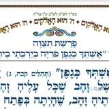 סוד "אשתך כגפן פוריה בירכתי ביתך" • המאמר היומי מהגה"צ רבי אליעזר ברלנד שליט"א