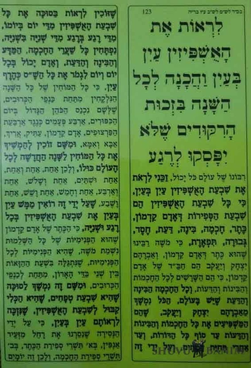 תפילה של הגה