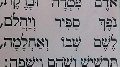 צפו מסר חשוב: אדם פטדה וברקת - השיר שימתיק את הגזירות וימשוך שפע גדול - הגה"צ הרב אליעזר ברלנד שליט"א