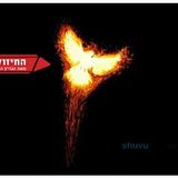 ברכתו של נֹחַ נתנה לעוף החול חיי נצח - החיזוק היומי מהגה"צ הרב אליעזר ברלנד שליט"א