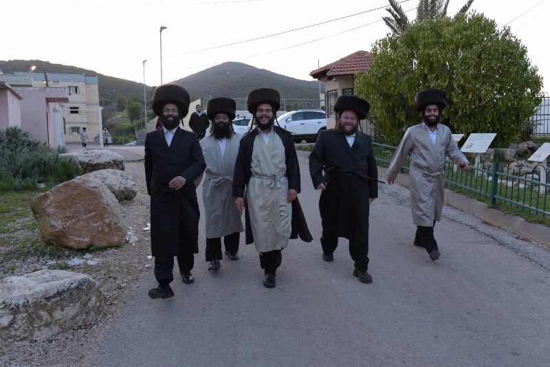 מאות מאברכי שובו בנים הגיעו לשבת ההתאחדות במירון