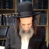 פרשת פנחס מאת הרה"ח ר' עופר ארז שליט"א - שובו בנים מיאמי