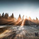 הערב: ליל חמישה עשר באב מתכנסים לאמירת "התיקון הכללי" באולם התפילות של הגה"צ הרב ברלנד שליט"א