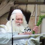 וַיְבָרֲכוּ אֶת הָעָם וַיֵּרָא כְבוֹד ה' אֶל כָּל הָעָם • שבת פרשת שמיני בצילו של הגה"צ רבי אליעזר ברלנד שליט"א