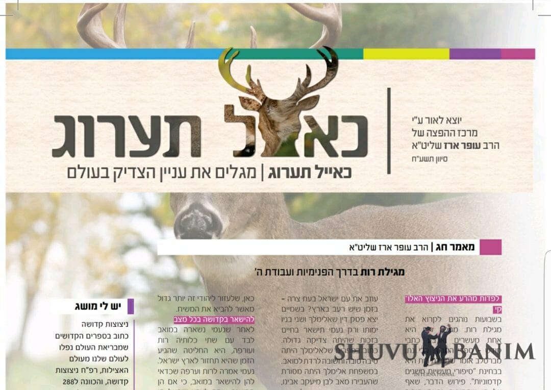 עלון כאיל תערוג סיון תשע"ח