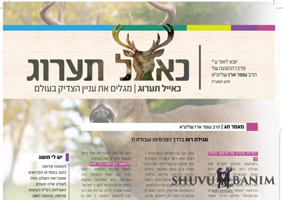 עלון כאיל תערוג סיון תשע"ח