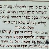 תפילה לכ' בסיון - הום המיוחד מהגה"צ הרב אליעזר ברלנד שליט"א