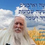 היום שלושה וארבעים יום לעומר • נוסח ספירת העומר ותפילה מהגה"צ רבי אליעזר ברלנד שליט"א לחסד שבמלכות