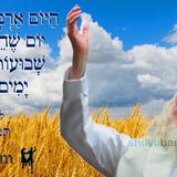 הַיּוֹם אַרְבָּעָה וְעֶשְׂרִים יוֹם לָעוֹמֶר • נוסח ספירת העומר ותפילה מהגה"צ רבי אליעזר ברלנד שליט"א לתפארת שבנצח