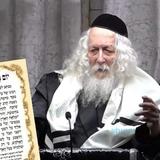 בְּיוֹם הֻלֶּדֶת מְנַצְּחִים אֶת כֻּלָּם • יום גינוסיא דמלכא ה־פ"ז למורינו הגה"צ רבי אליעזר ברלנד שליט"א יאריך ימים על ממלכתו