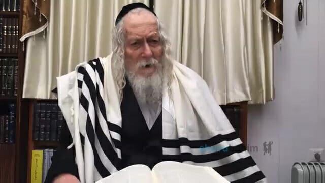 שיעור מהגה"צ רבי אליעזר ברלנד שליט"א באזכרת הילדה חיה לוי ע"ה