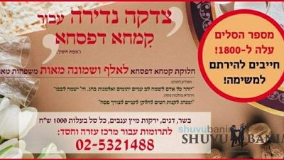 Urgent Need for Your Donation: 1,800 Needy Families of R' Berland Registered for Kimcha D'Pischa