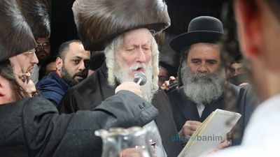 בְּגַן עֵדֶן מִקֶּדֶם • חתונת נינת הגה"צ רבי אליעזר ברלנד שליט"א • גלריית תמונות מרהיבה