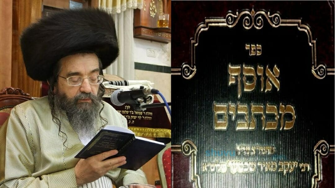 הרב יעקב מאיר שכטר - איך גדולים וקדושים חולקים על הצדיק?