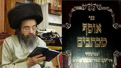 הרב יעקב מאיר שכטר - איך גדולים וקדושים חולקים על הצדיק?