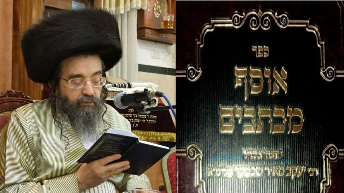 הרב יעקב מאיר שכטר - איך גדולים וקדושים חולקים על הצדיק?