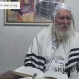 "תדעו שמשיח צריך למות, זה חבל, אני מצטער לספר את זה" דברי הגה"צ הרב אליעזר ברלנד שליט"א