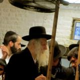 יום ט באב תשעט אצל הגה"צ הרב אליעזר ברלנד שליט"א - גלריית תמונות ותיאור האירועים