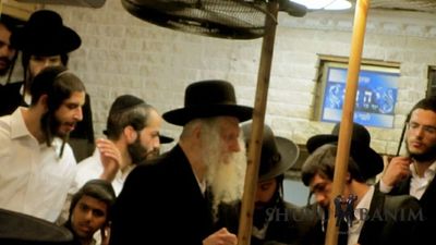 יום ט באב תשעט אצל הגה"צ הרב אליעזר ברלנד שליט"א - גלריית תמונות ותיאור האירועים