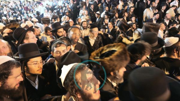 הקפות שניות תשפ״ז עם מורנו הרב ברלנד שליט״א בירושלים, תמונה 24