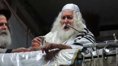 וַיֵּט מֹשֶׁה אֶת מַטֵּהוּ • סיקור שבת פרשת וארא בצילו של הגה"צ רבי אליעזר ברלנד שליט"א