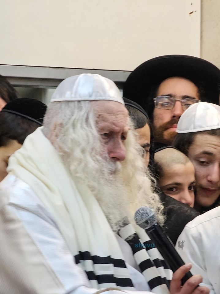 וַיַּאֲמִינוּ בַּה' וּבְמֹשֶׁה עַבְדּוֹ • סיקור שבת שירה - בשלח התשפ"ד בצילו של הגה"צ רבי אליעזר ברלנד שליט"א