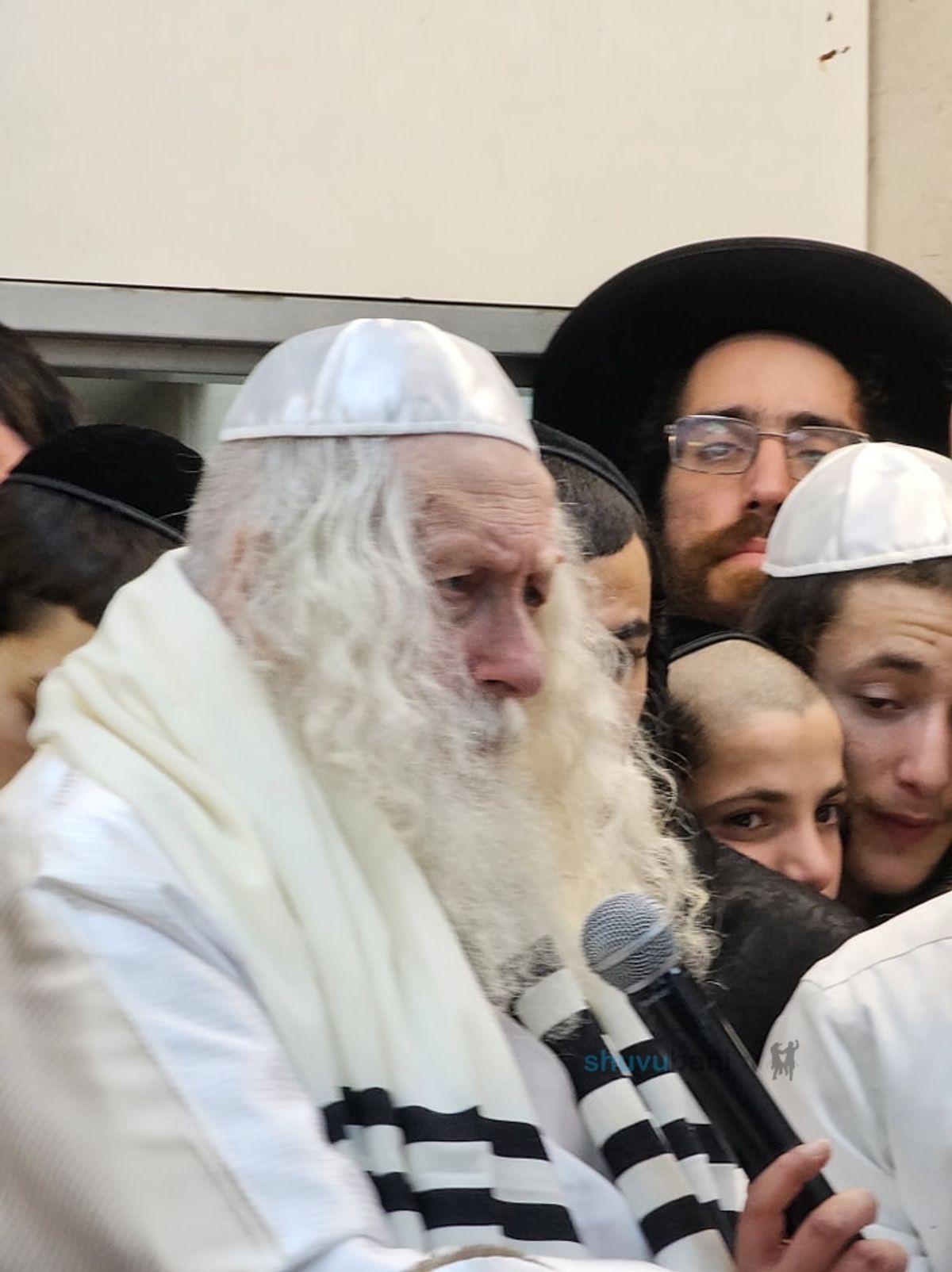 וַיַּאֲמִינוּ בַּה' וּבְמֹשֶׁה עַבְדּוֹ • סיקור שבת שירה - בשלח התשפ"ד בצילו של הגה"צ רבי אליעזר ברלנד שליט"א