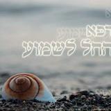 "נרפא והחל לשמוע" - הרב נתן מזרחי מספר על הנס הרפואי של בנו בזכות הגה"צ הרב אליעזר ברלנד שליט"א